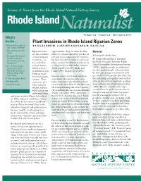 Plant Invasions in Rhode Island Riparian Zones ✴Paleostratigraphy in B Y S U Z a N N E M