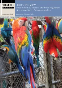 Birds-Eye-View.Pdf