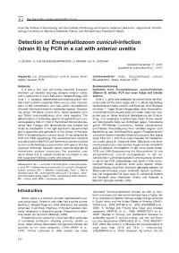 Detection of Encephalitozoon Cuniculi-Infection (Strain II) by PCR in a Cat with Anterior Uveitis