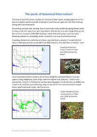 The Perils of Botanical Hibernation!