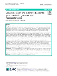 Genomic Erosion and Extensive Horizontal Gene Transfer in Gut-Associated Acetobacteraceae Bryan P