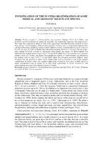 TUNCER, B. : Investigation of the in Vitro Regeneration of Some Medical and Aromatic Wild Plant Species