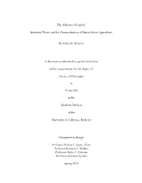 Dissertation Full Draft