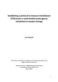 Establishing a Protocol to Measure Tetrodotoxin (TTX) Levels in Small-Bodied Newts (Genus Lissotriton) in Western Europe
