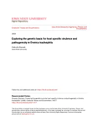 Exploring the Genetic Basis for Host Specific Virulence and Pathogenicity in Erwinia Tracheiphila