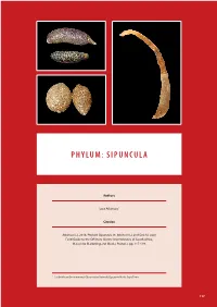Phylum: Sipuncula