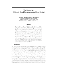 The Forgetron: a Kernel-Based Perceptron on a Fixed Budget
