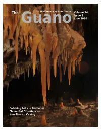 Volume 24 Issue 3 June 2010 Catching Bats in Barbados
