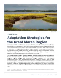 Adaptation Strategies for the Great Marsh Region
