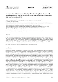 An Exploration of Echinoderes (Kinorhyncha: Cyclorhagida) in Korean and Neighboring Waters, with the Description of Four New Species and a Redescription of E