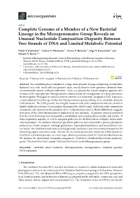 Complete Genome of a Member of a New Bacterial Lineage in The