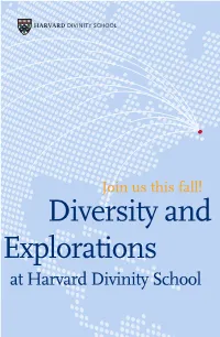 Diversity and Explorations