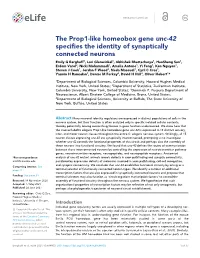 The Prop1-Like Homeobox Gene Unc-42 Specifies the Identity Of