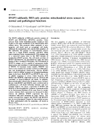 BNIP3 Subfamily BH3-Only Proteins: Mitochondrial Stress Sensors in Normal and Pathological Functions