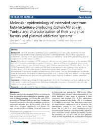 Molecular Epidemiology of Extended-Spectrum Beta-Lactamase