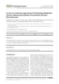 A Case of Communal Egg-Laying of Gonatodes Albogularis (Sauria, Sphaerodactylidae) in Bromeliads (Poales, Bromeliaceae)