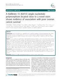 A Kallikrein 15 (KLK15) Single Nucleotide Polymorphism Located