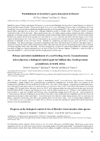 Establishment of Strawberry Guava Biocontrol in Hawaii M
