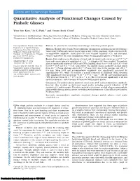 Quantitative Analysis of Functional Changes Caused by Pinhole Glasses