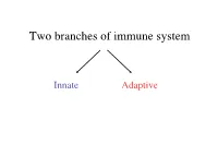 Two Branches of Immune System