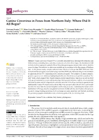 Canine Circovirus in Foxes from Northern Italy: Where Did It All Begin?