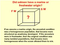 Did Salmon Have a Marine Or Freshwater Origin? F W