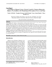 Diptera: Psychodidae) with Morphological Description of Larva and Pupa