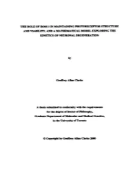 THE ROLE of ROM-1 in MAPNTAINING PHOTORECEPTOR STRUCTURE AM) VUBILITY, and a MATHEMATICAL MODEL EXPLOIUNG the Icinetics of NEURONAL DEGENERATION