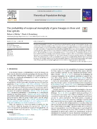Theoretical Population Biology the Probability of Reciprocal Monophyly