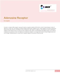 Adenosine Receptor P1 Receptor