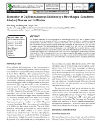 Biosorption of Cu(II) from Aqueous Solutions by a Macrofungus (Ganoderma Lobatum) Biomass and Its Biochar