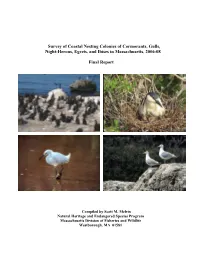 Survey of Coastal Nesting Colonies of Cormorants, Gulls, Night-Herons, Egrets, and Ibises in Massachusetts, 2006-08