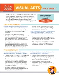 Visual Arts Fact Sheet