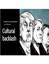 Cultural Backlash Structure