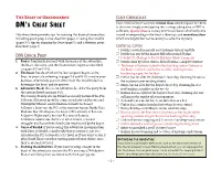 Graenseskov DM's Cheat Sheet.Pages