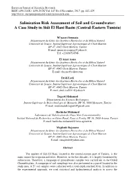 Salinization Risk Assessment of Soil and Groundwater: a Case Study in Sidi El Hani Basin (Central-Eastern Tunisia)