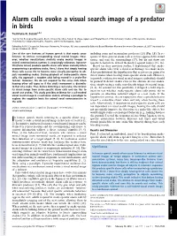 Alarm Calls Evoke a Visual Search Image of a Predator in Birds