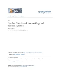 Covalent DNA Modifications in Phage and Bacterial Dynamics Alexandra Bryson University of Pennsylvania, Bryson.Alexandra@Gmail.Com