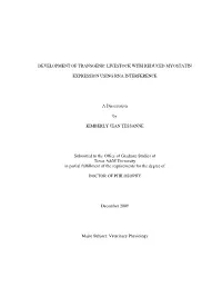 Development of Transgenic Livestock with Reduced Myostatin