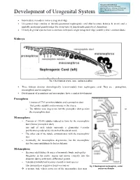Development of Urogenital System Dhaka