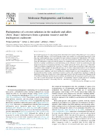 Phylogenetics of a Recent Radiation in the Mallards And