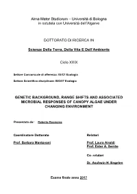Università Di Bologna in Cotutela Con Università Dell'algarve