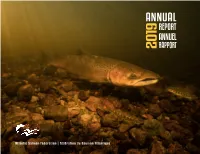2019 ASF Annual Report