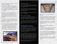 Archaeological Sites and Why What Is an Artifact? Are They Important? Artifacts Are Objects Made Or Used by Humans