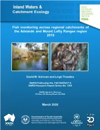 Fish Monitoring Across Regional Catchments of the Adelaide and Mount Lofty Ranges Region 2019