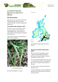 Newsletter 41 January 2021