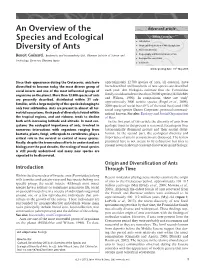 "An Overview of the Species and Ecological Diversity of Ants"