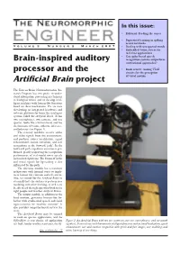 Artificial Brain Project of Visual Motion