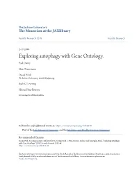 Exploring Autophagy with Gene Ontology. Paul Denny