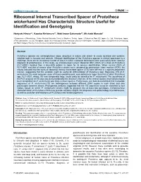 Ribosomal Internal Transcribed Spacer of Prototheca Wickerhamii Has Characteristic Structure Useful for Identification and Genotyping